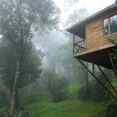Nature Zone Jungle Resort